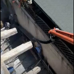 67096445_360260791354275_6533183914834395136_n