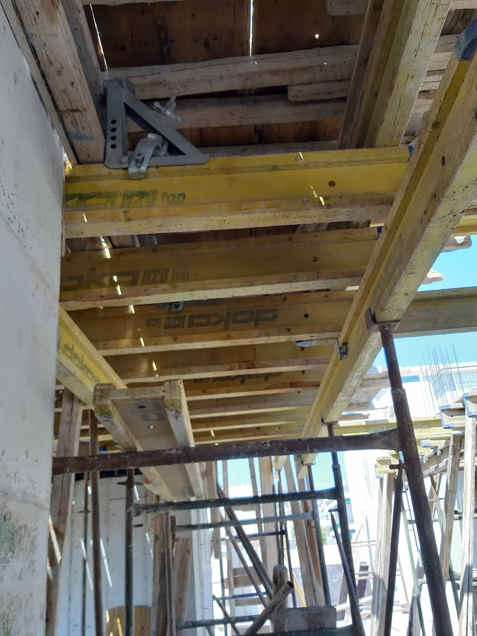 66250699_357000641658257_7462968665684574208_n