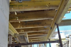 66250699_357000641658257_7462968665684574208_n